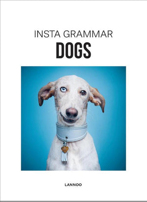 Insta grammar: dogs