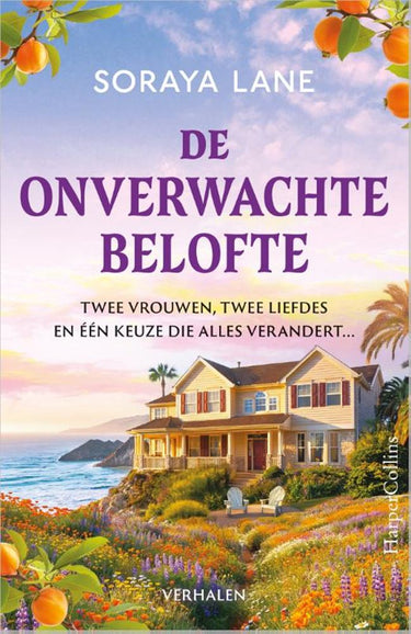 De onverwachte belofte -