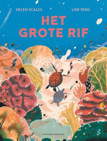 Het grote rif. 6+