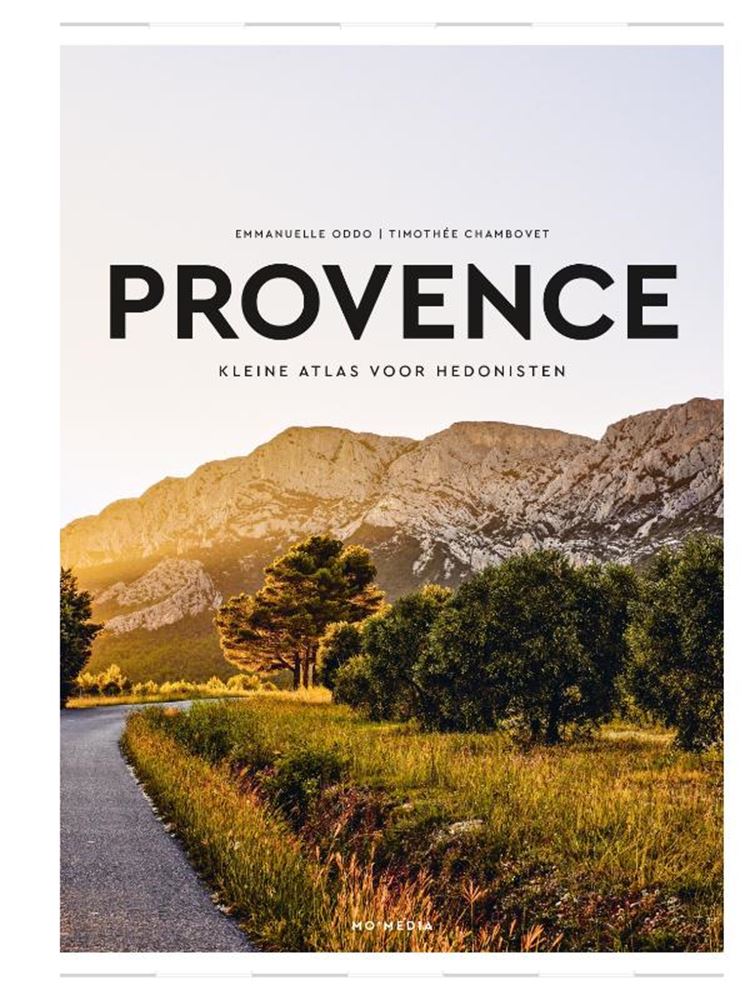 Afbeelding laden in galerijviewer, Stedengids: provence. volwassene
