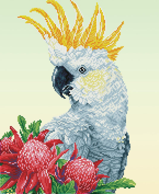 Diamond dotz® diamond painting volwassenen - ronde steentjes - volledig pakket - hobby - - dd10.059 - dieren - white cockatoo warathas 51 x 41 cm