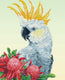 Diamond dotz® diamond painting volwassenen - ronde steentjes - volledig pakket - hobby - - dd10.059 - dieren - white cockatoo warathas 51 x 41 cm