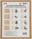Playmais mosaic 3d insecten versieren, 24st.