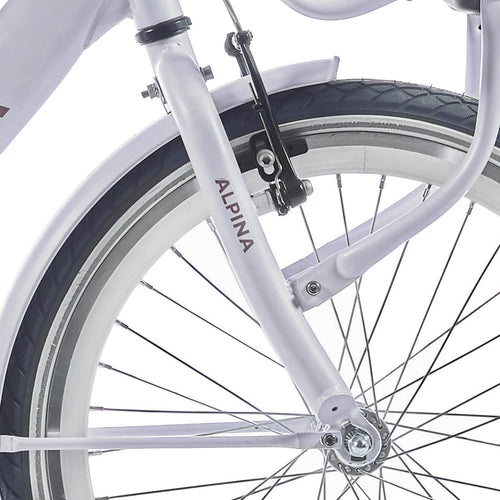 Alpina voorvork 20 clubb frosty pink matt