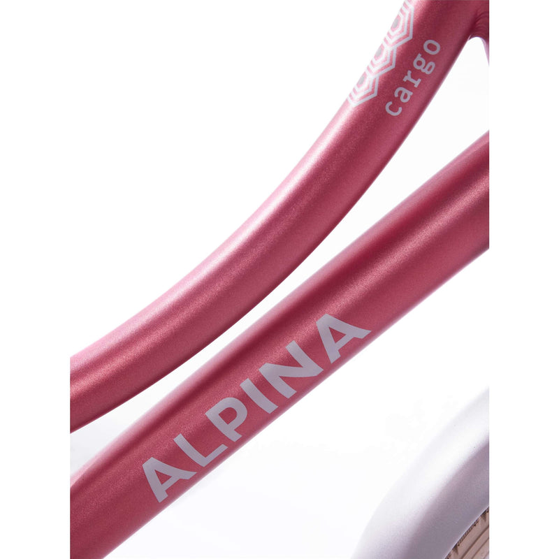 Afbeelding laden in galerijviewer, Alpina Cargo M16 Rood
