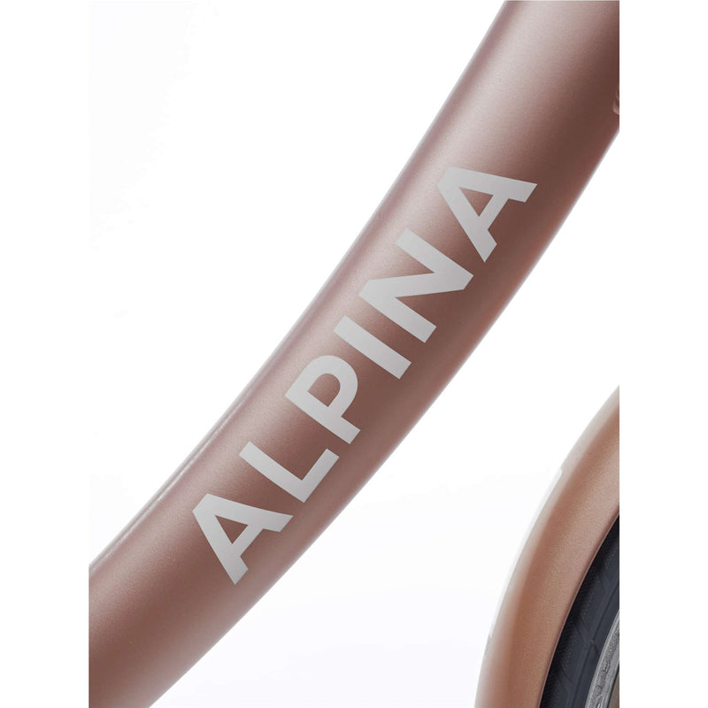Chargez l'image dans la visionneuse de la galerie, Alpina Clubb M20 Rose Goud
