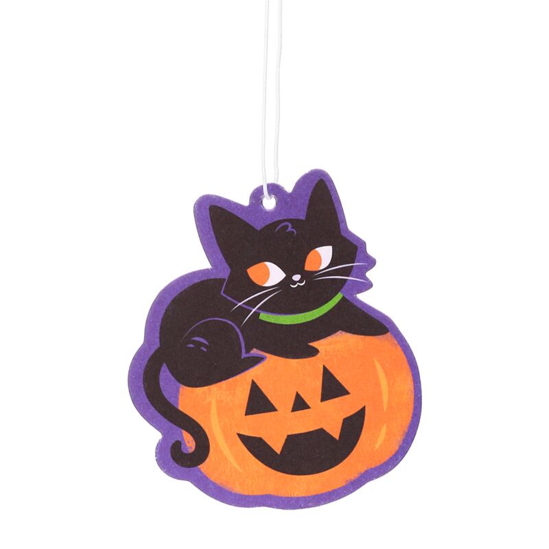 Load image into Gallery viewer, Pic pumpkin se spooky pompoen luchtverfrisser
