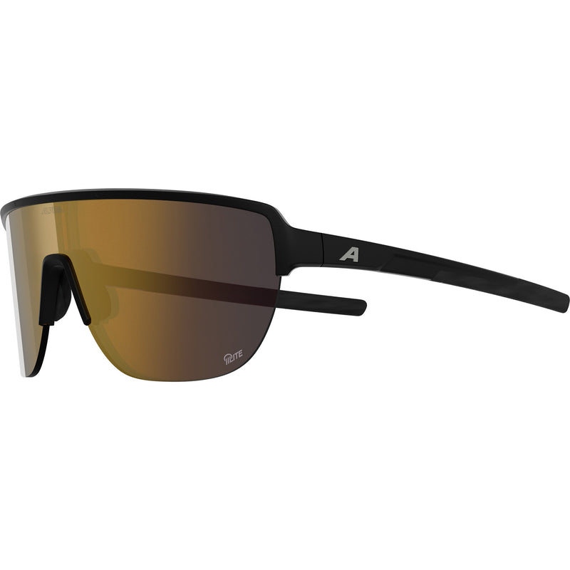 Load image into Gallery viewer, Alpina sports sportbril ram 2.0 q-lite goud sp. mat zwart
