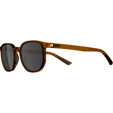 Olympic sportswear alpina sports lifestyle bril dimont bruine lens bruin