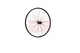 Roland achterwiel 28 ryde rival21 shimano m5100 zwart