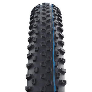buitenband Racing Ray Addix 29 x 2.25 (57-622) zwart