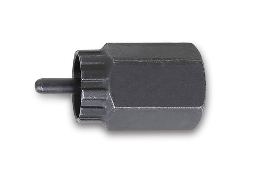 Beta freewheel afnemer campagnolo