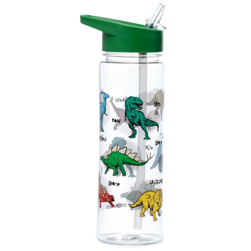Load image into Gallery viewer, Dinosauria ecozen waterfles 550ml flip straw
