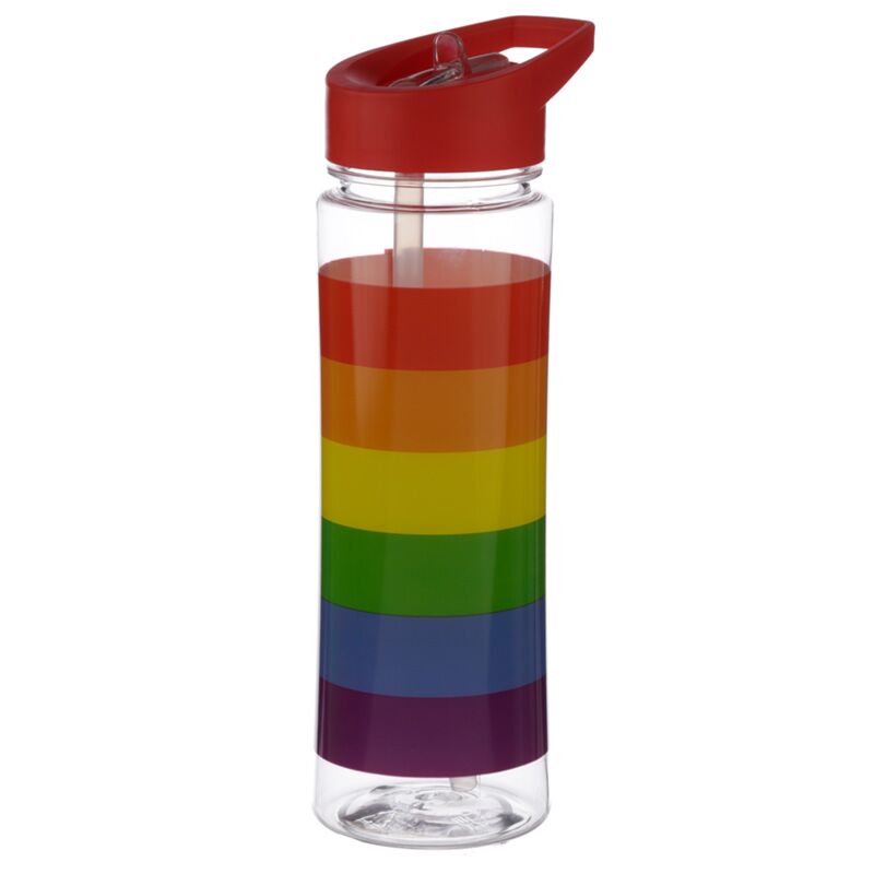Load image into Gallery viewer, Somewere regenboog duurzame 550ml waterfles flip straw
