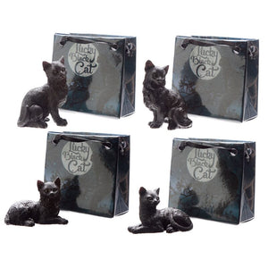 Zwarte gelukskat in mini cadeautasje