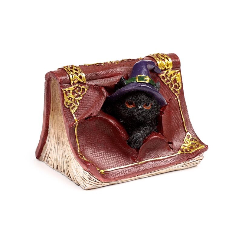 Load image into Gallery viewer, Heksen zwarte kat mischievous spell book
