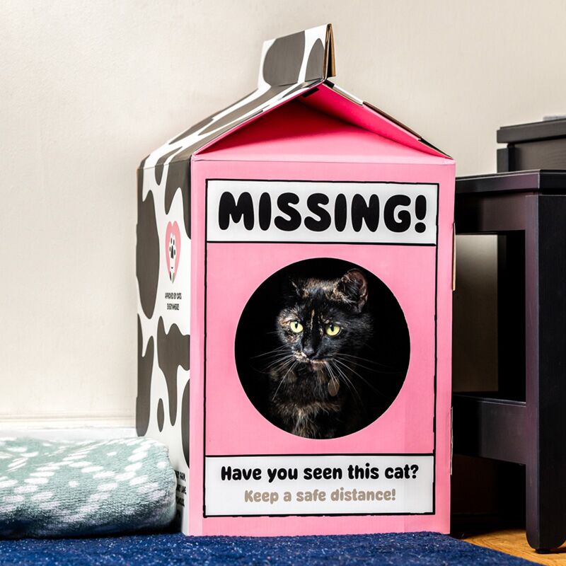 Load image into Gallery viewer, Doe-het-zelf 100% karton kat speelhuisje
