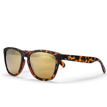 Chpo bril bodhi turtle brown brown