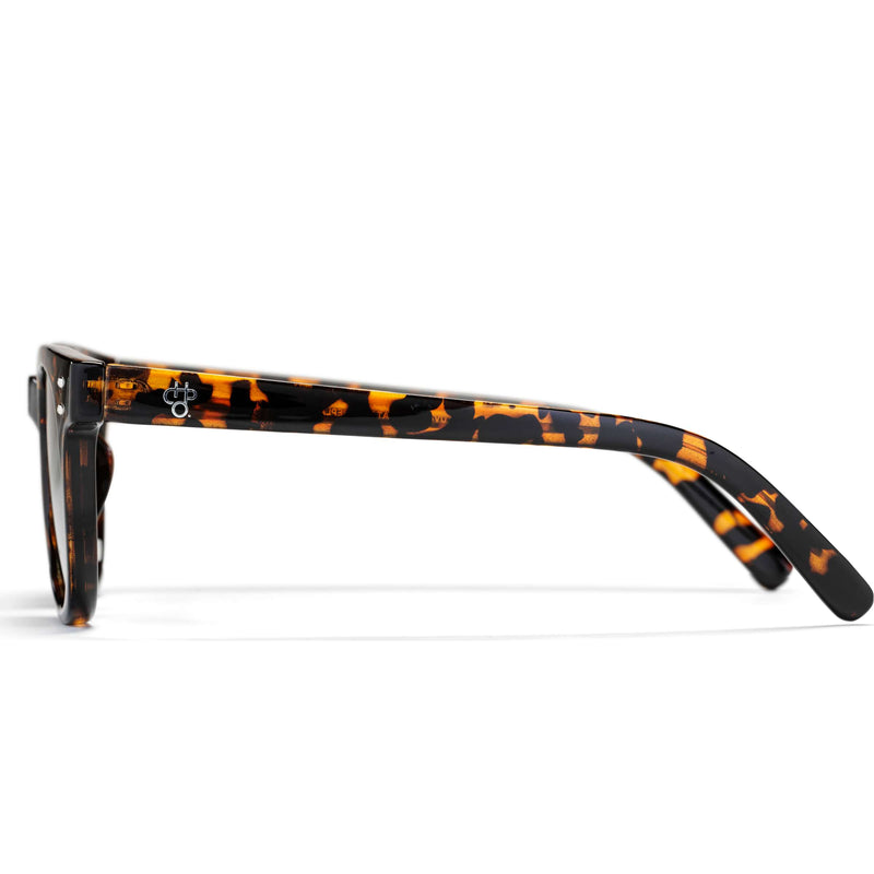 Load image into Gallery viewer, Chpo bril torö x turtle brown green
