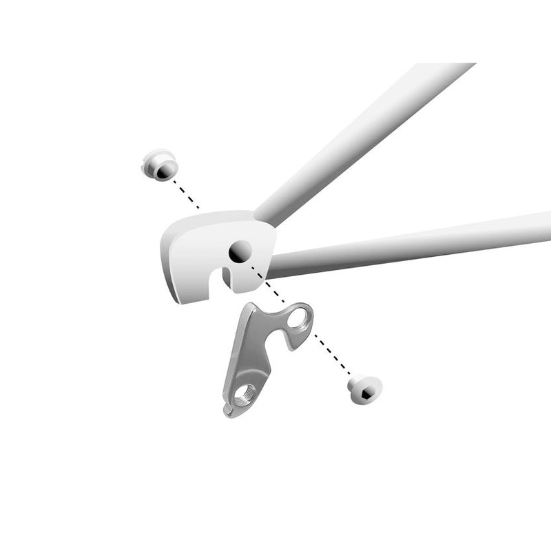 Load image into Gallery viewer, Union derailleurpad GH-022 met schroefset M8x0.75
