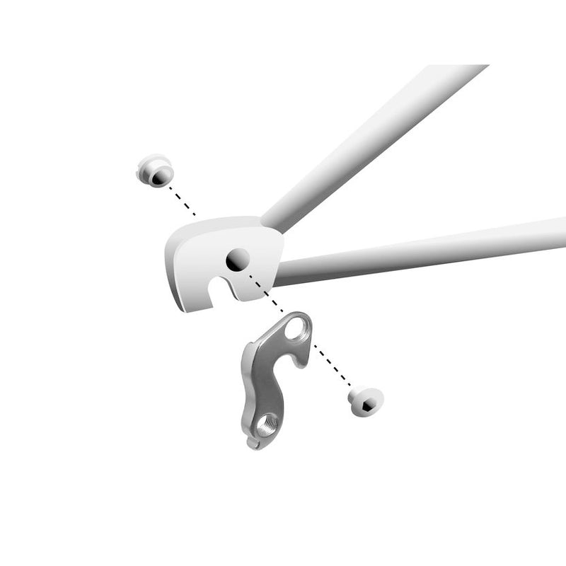 Load image into Gallery viewer, Union derailleurpad GH-083 met schroefset M8x0.75
