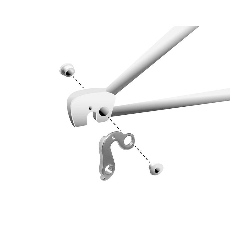 Load image into Gallery viewer, Union derailleurpad GH-090 met schroefset M8x0.75
