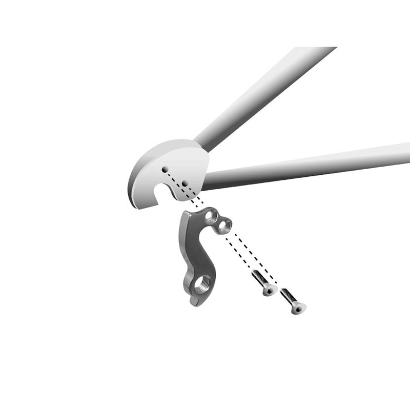 Load image into Gallery viewer, Union derailleurpad GH-092 met schroefset M4x0.7
