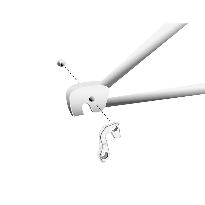 Load image into Gallery viewer, Union derailleurpad GH-100 met schroef M8x1.2
