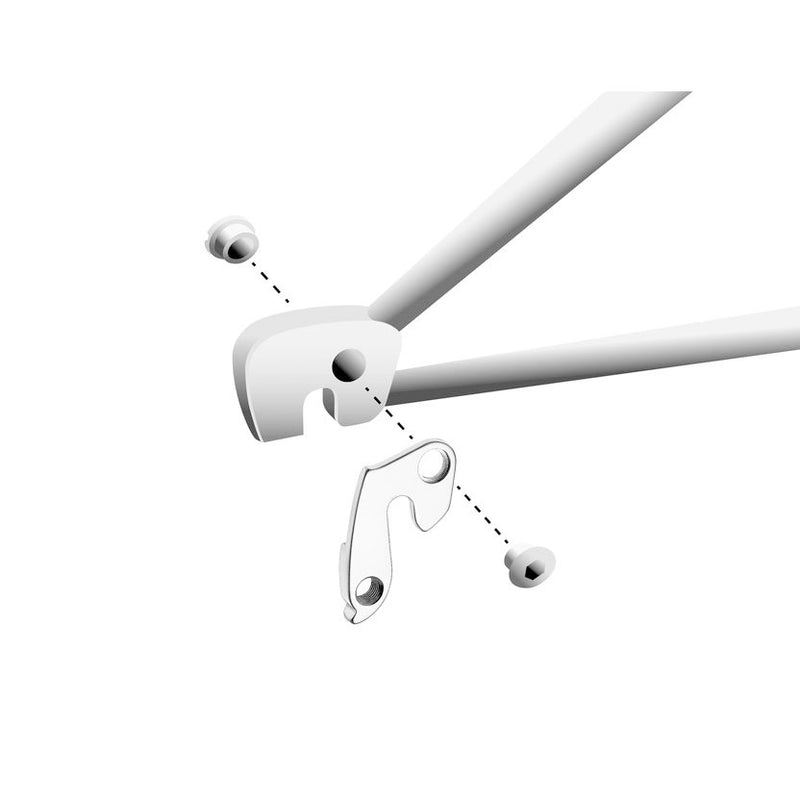 Load image into Gallery viewer, Union derailleurpad GH-106 met schroefset M8x0.75
