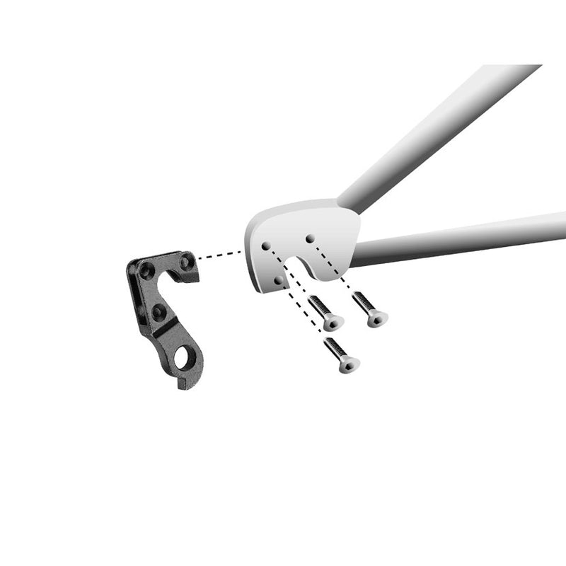 Load image into Gallery viewer, Union derailleurpad GH-107 met schroefset M3x0.9
