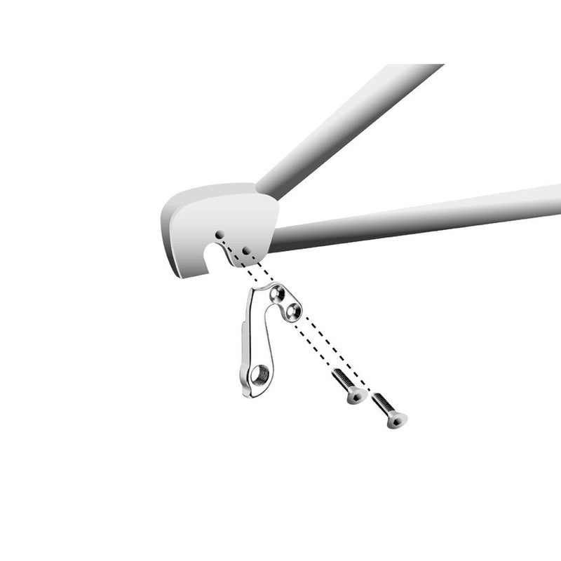 Load image into Gallery viewer, Union derailleurpad GH-147 met schroefset M4x0.7
