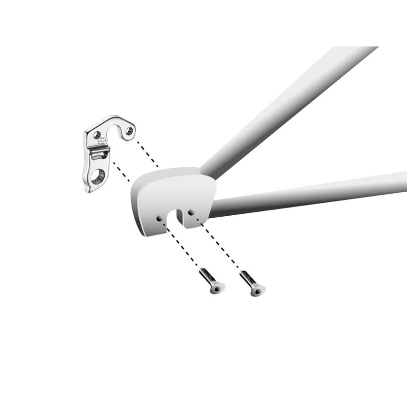 Load image into Gallery viewer, Union derailleurpad gh-156 scott met schroefset
