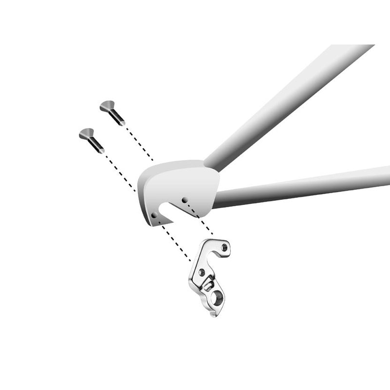 Load image into Gallery viewer, Union derailleurpad gh-163 scott met schroefset
