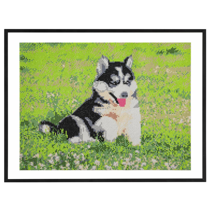 Laden Sie das Bild in Galerie -Viewer, Craft id diamond painting, 40x50cm, dog
