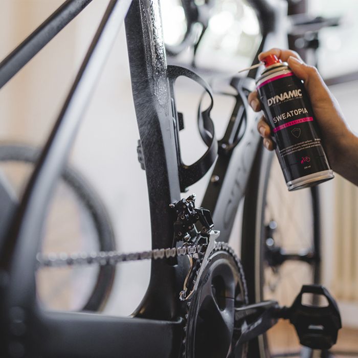 Load image into Gallery viewer, Dynamic sweatopia - 200ml
