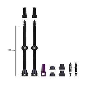 Dynamic barkeeper tubeless valves 100mm - 1set