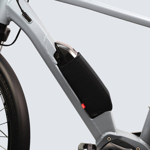 Fahrer frame accuhoes shimano steps
