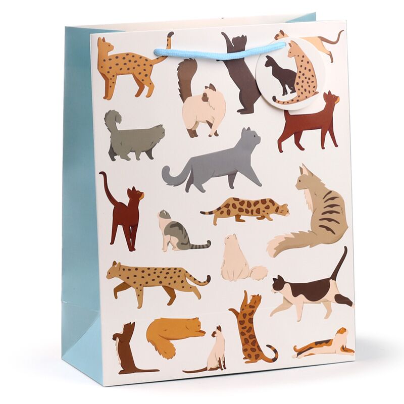 Load image into Gallery viewer, Feline fine katten - cadeautasje large
