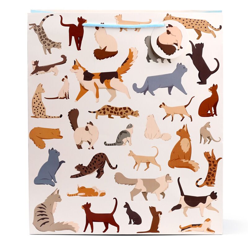 Load image into Gallery viewer, Feline fine katten - cadeautasje xl
