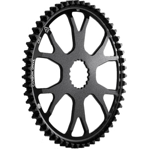 Gates tandwiel cdx 55t s550 direct mount rohloff