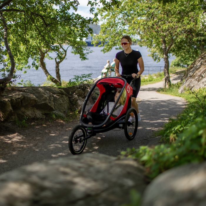 Load image into Gallery viewer, Hamax outback one - red black
