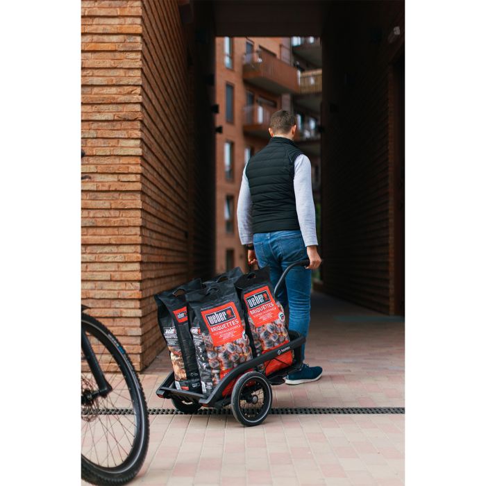 Load image into Gallery viewer, Hamax venture cargo bike trailer
