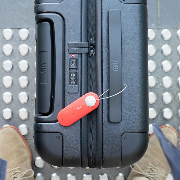 Load image into Gallery viewer, Knog scout travel - apple - tangerine dream
