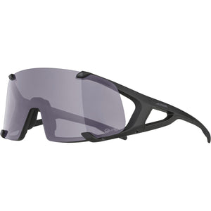 Alpina sports sportbril hawkeye q-lite v zwart