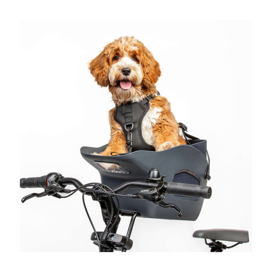 Kvisp hondenmand met harnas s forest green