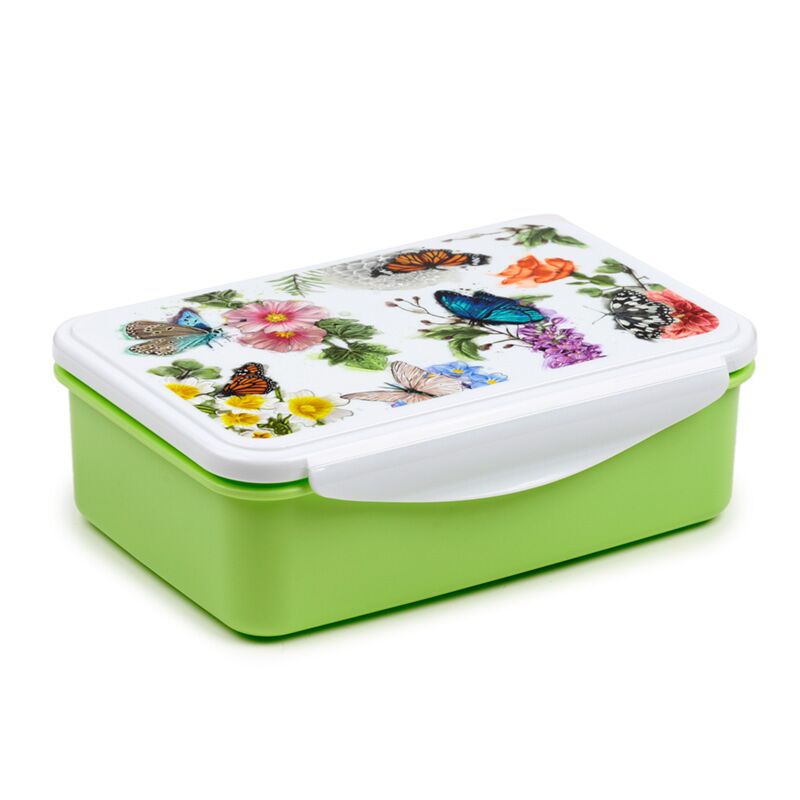 Load image into Gallery viewer, Butterfly meadows vlinder clip lock lunchtrommel
