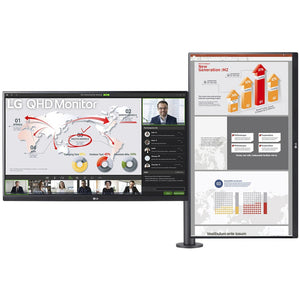 LG Ergo 27QP88DP-BS