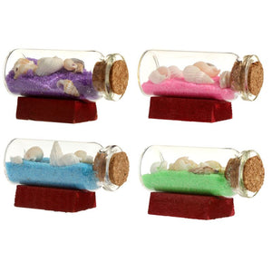Gekleurd zand schelpen fles strand souvenir magneet