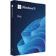 Microsoft windows 11 professional (nederlandstalig)
