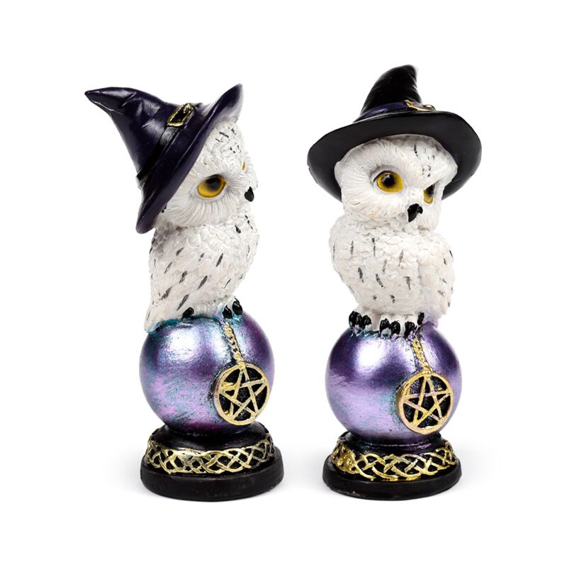 Load image into Gallery viewer, Wise old magical owl op regenboogglans uil
